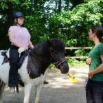 Gesunderhaltender Unterricht für Pferd & Reiter